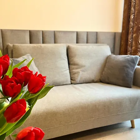 Hotel apartamentowy Karkonoskie Widoki