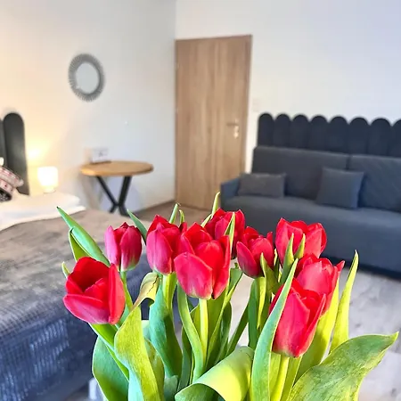 Karkonoskie Widoki Appart hôtel Karpacz