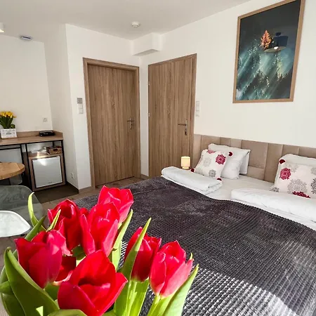 Karkonoskie Widoki Hotel apartamentowy