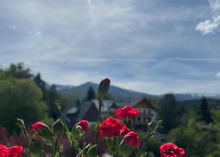 Karkonoskie Widoki Aparthotel Karpacz
