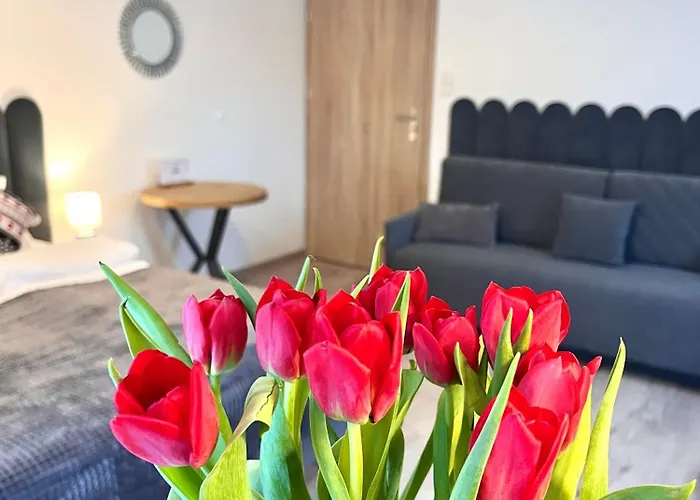 Karkonoskie Widoki Aparthotel Karpacz