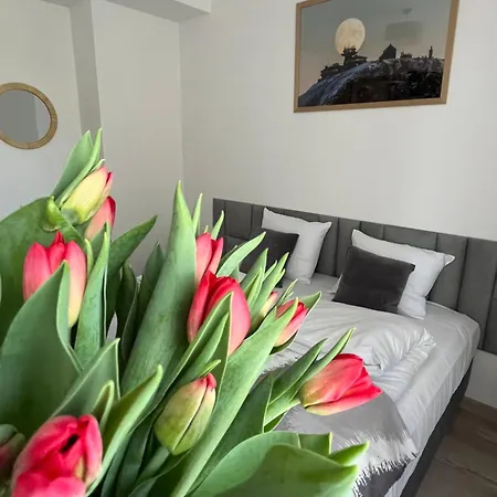 Karkonoskie Widoki 3*