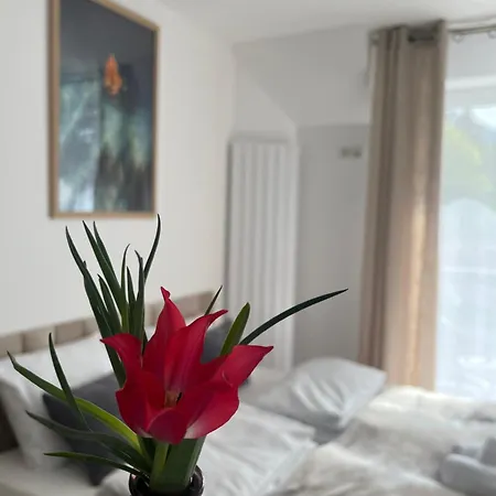 Karkonoskie Widoki Apartahotel