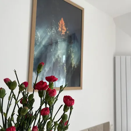 Apartahotel Karkonoskie Widoki 3*