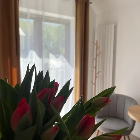 Karkonoskie Widoki 3* Karpacz