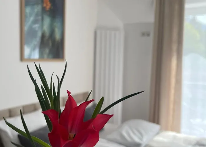 Karkonoskie Widoki Aparthotel