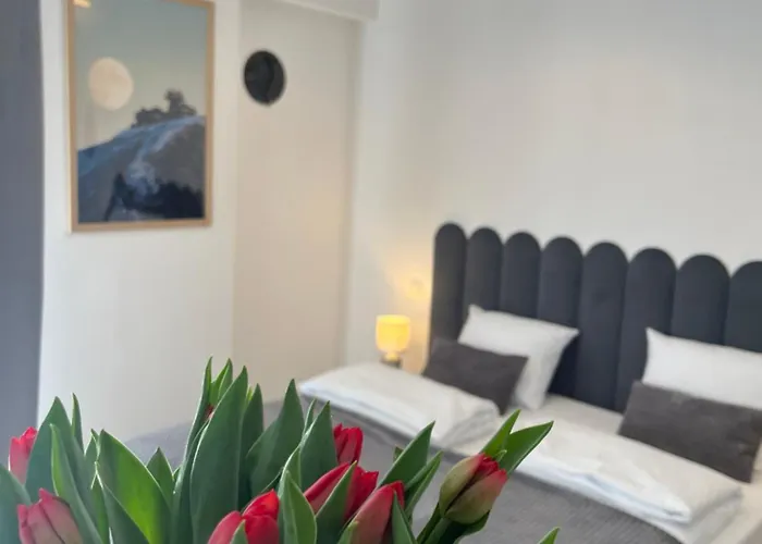 Karkonoskie Widoki Aparthotel 3*